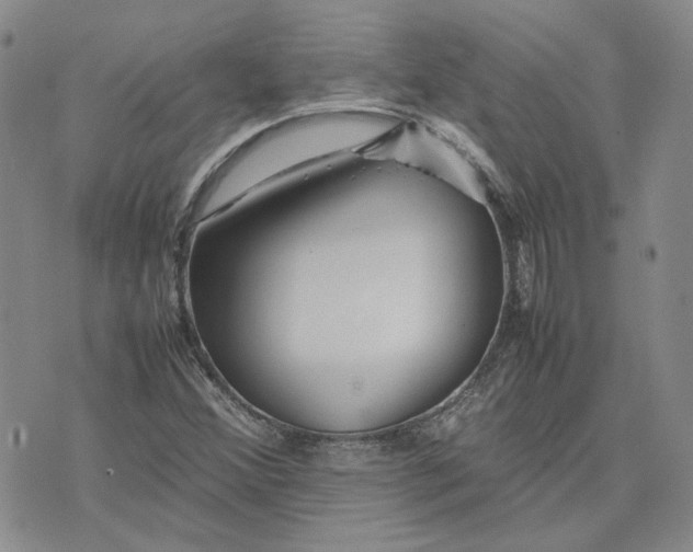 X0000075361356200609251051