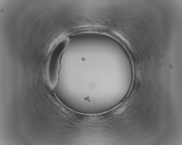 X0000075361357200609251051