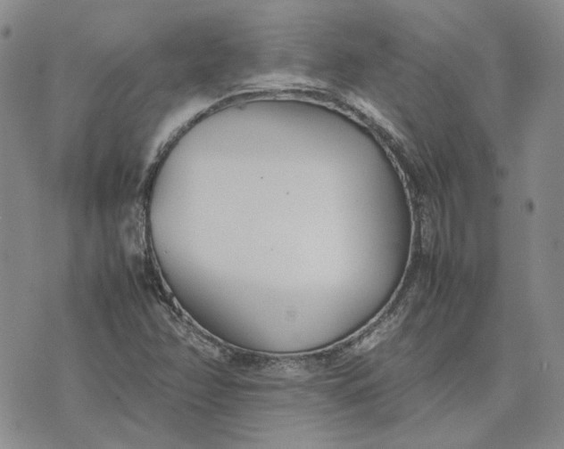 X0000075361358200609251051