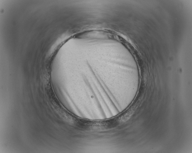 X0000075361359200609251051