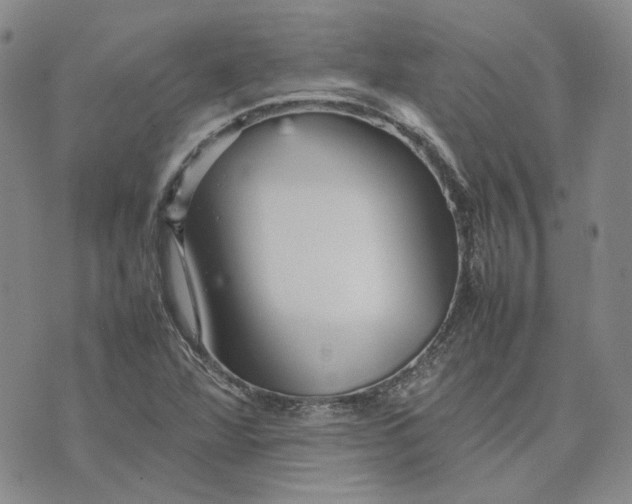 X0000075361360200609251051