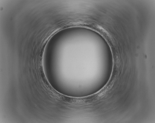 X0000075361361200609251051