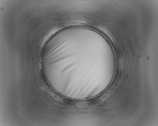 X0000075361363200609251051