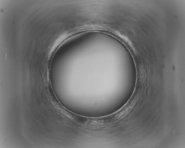 X0000075361365200609251051