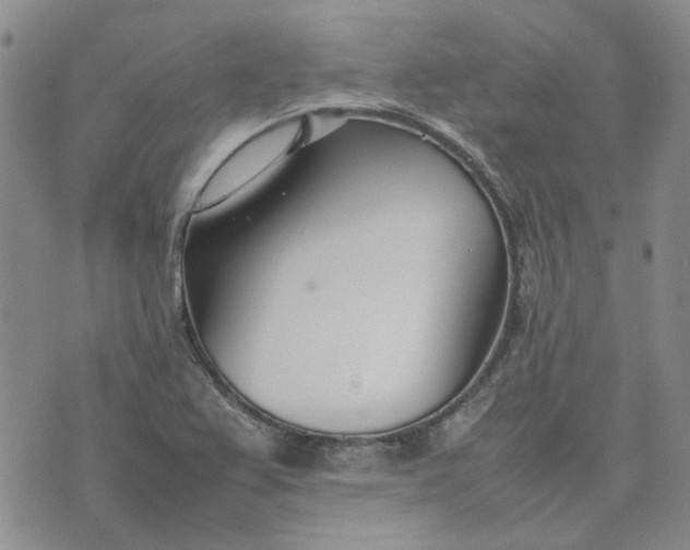 X0000075361367200609251051