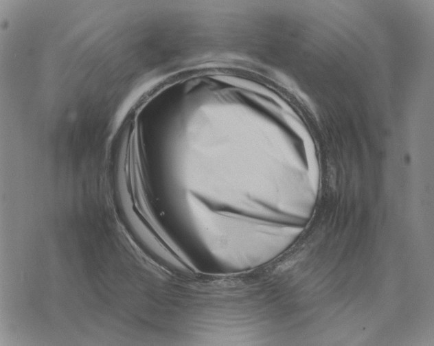 X0000075361368200609251051