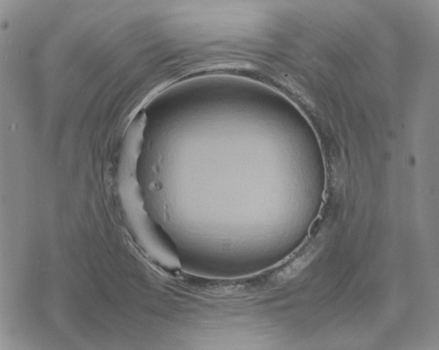 X0000075361369200609251051