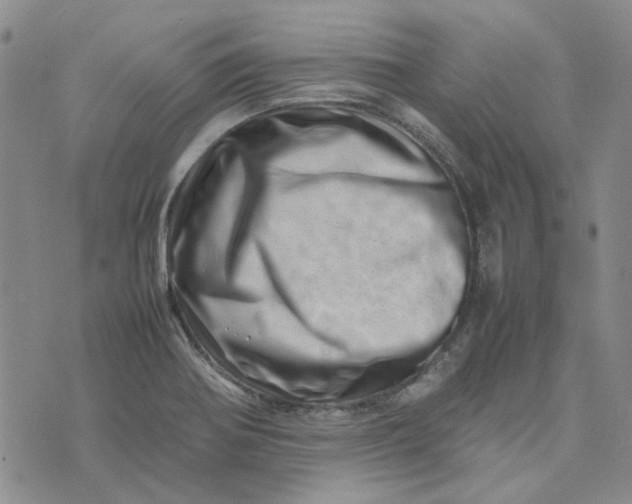 X0000075361370200609251051