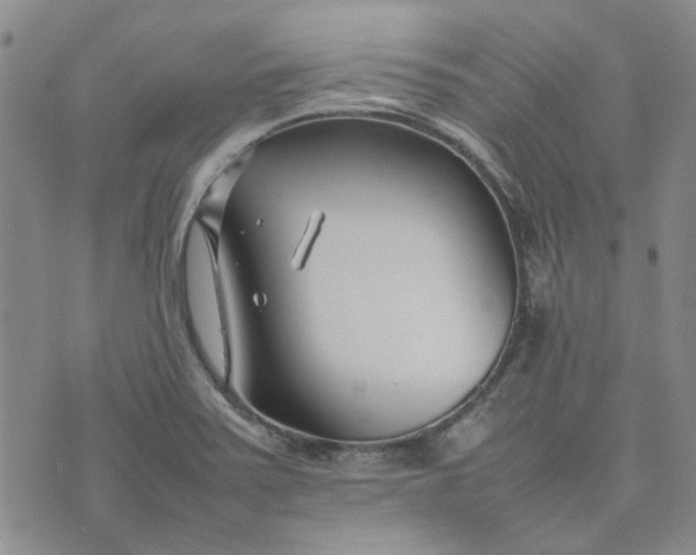 X0000075361371200609251051