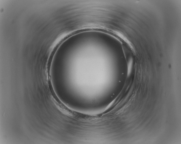 X0000075361372200609251051