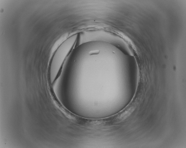 X0000075361373200609251051