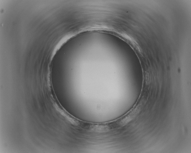 X0000075361374200609251051