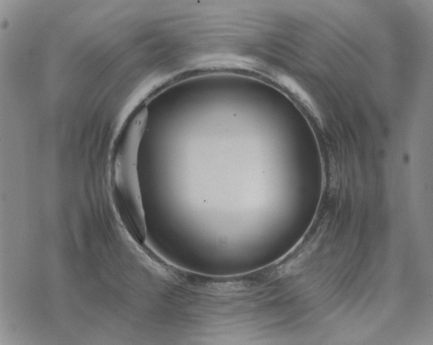 X0000075361376200609251051