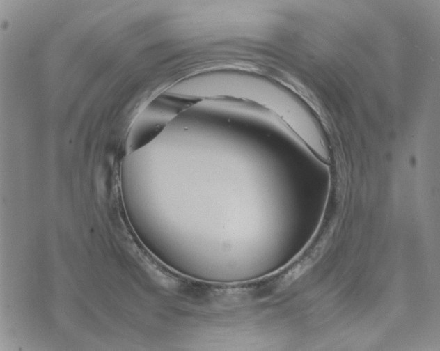 X0000075361377200609251051