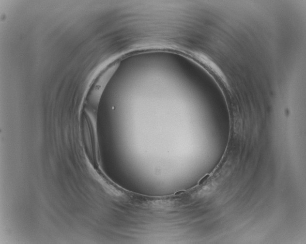 X0000075361380200609251051