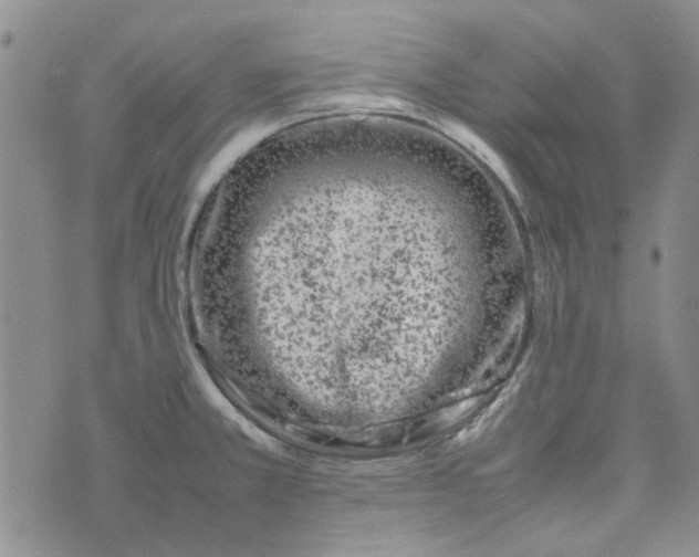 X0000075361381200609251051