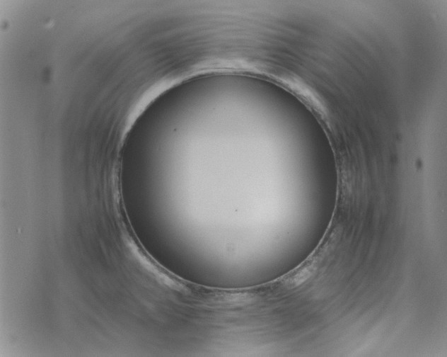 X0000075361382200609251051