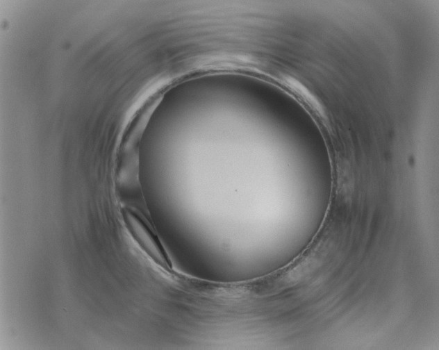 X0000075361384200609251051