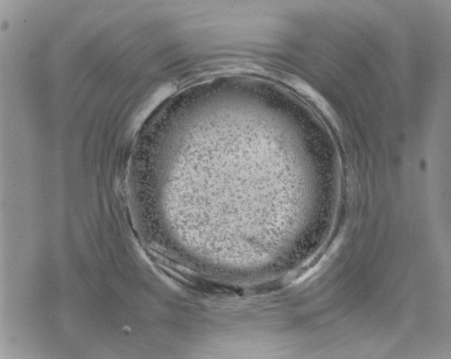 X0000075361385200609251051