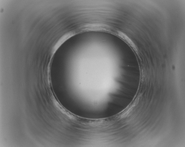 X0000075361386200609251051