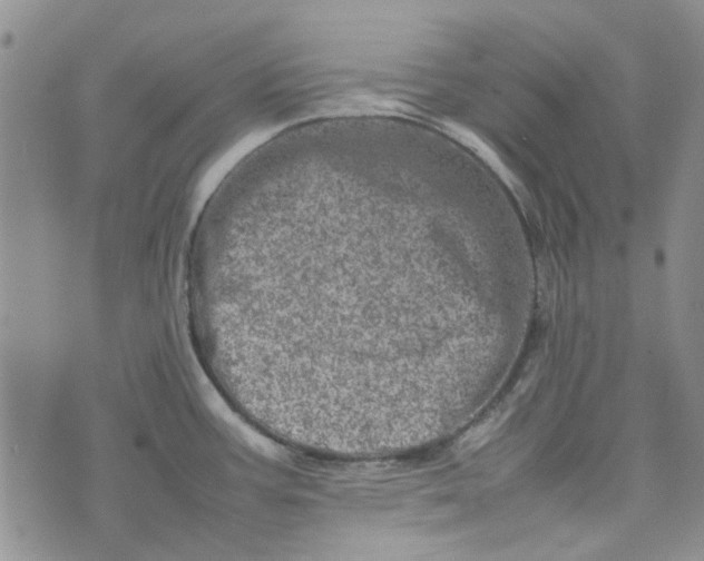 X0000075361387200609251051