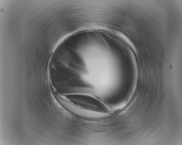 X0000075361388200609251051