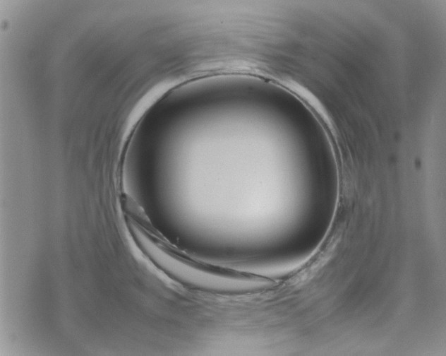 X0000075361389200609251051