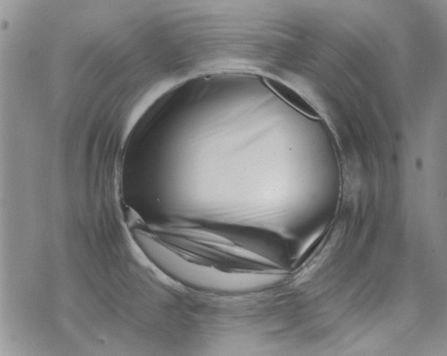 X0000075361390200609251051