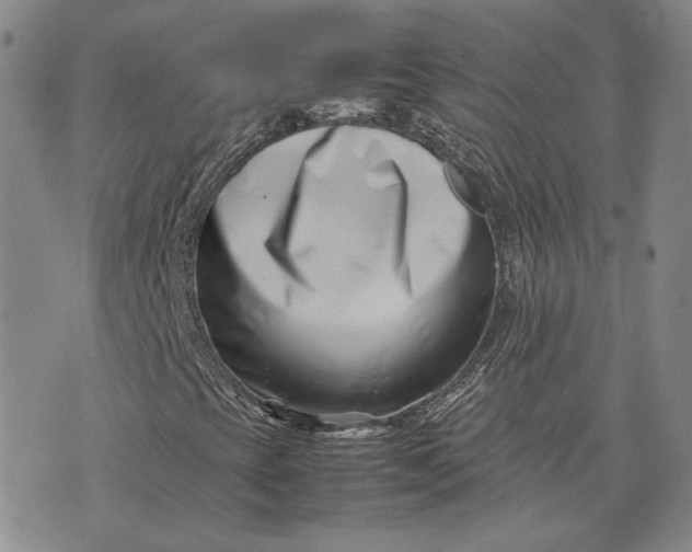 X0000075361393200609251050