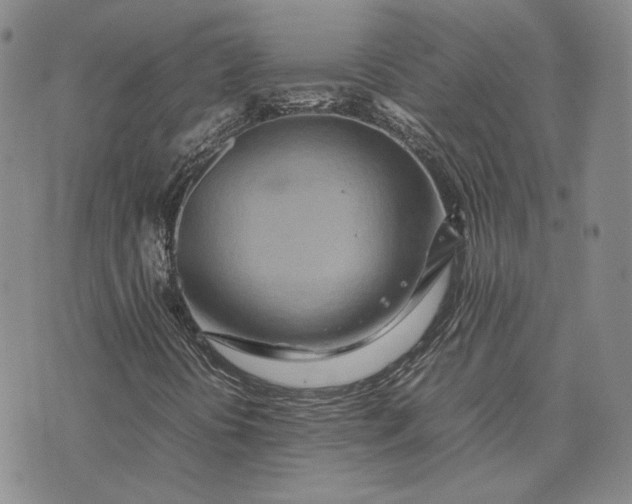 X0000075361394200609251050