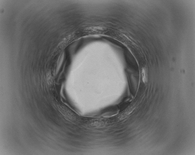 X0000075361395200609251050