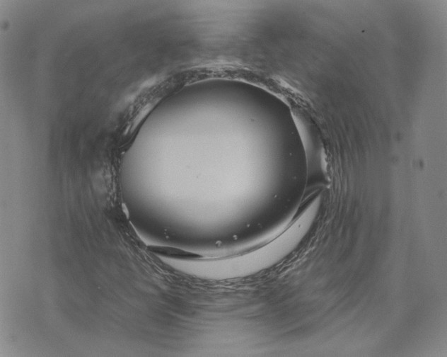 X0000075361398200609251050