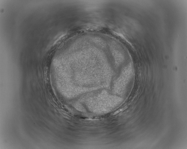 X0000075361399200609251050