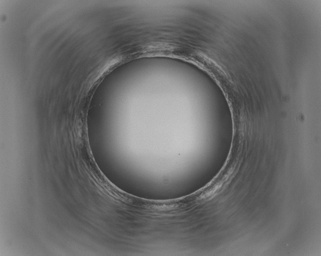 X0000075361401200609251050