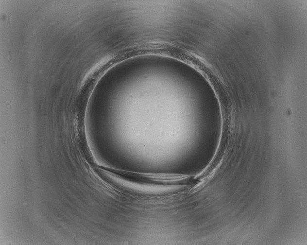 X0000075361402200609251050