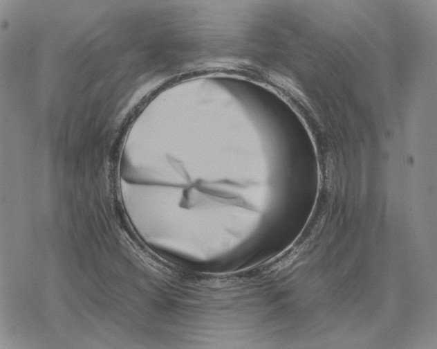 X0000075361404200609251050