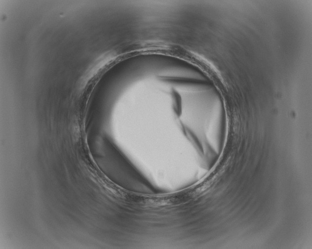 X0000075361407200609251050