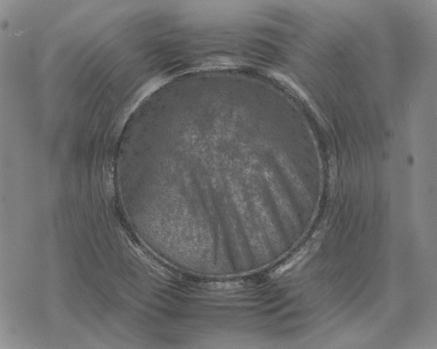 X0000075361409200609251050