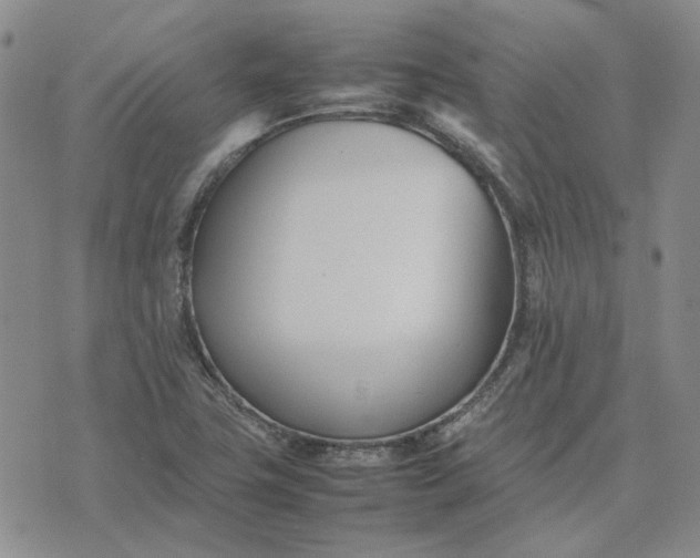 X0000075361411200609251050