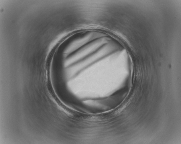 X0000075361414200609251050