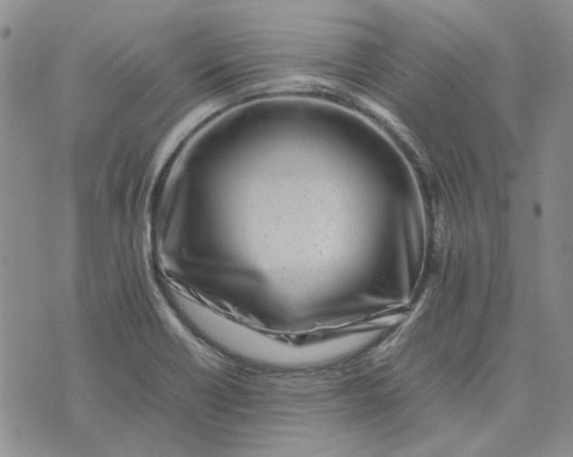 X0000075361418200609251050