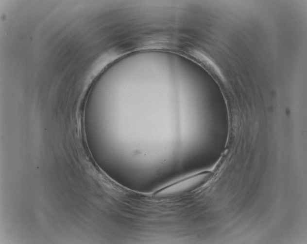 X0000075361419200609251050