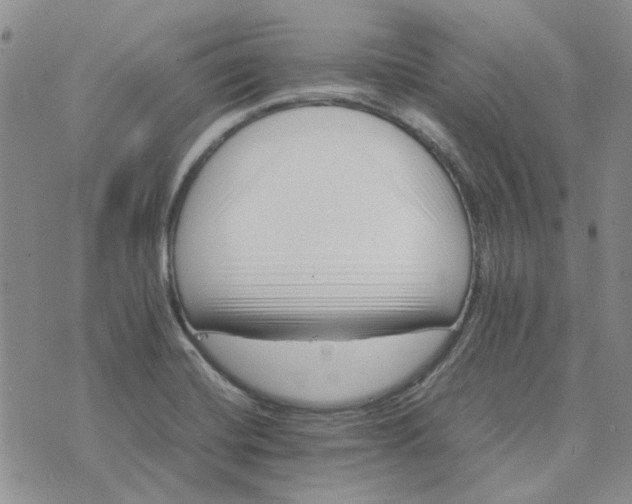 X0000075361420200609251050