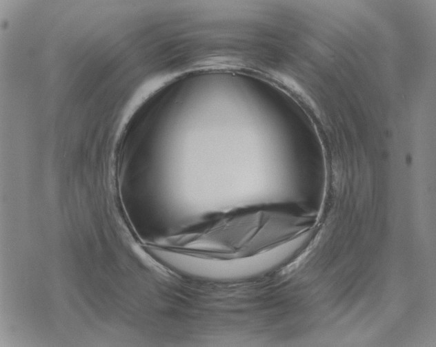 X0000075361421200609251050