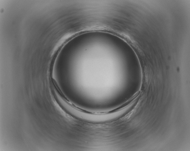 X0000075361422200609251050