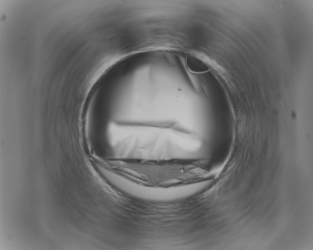 X0000075361423200609251050