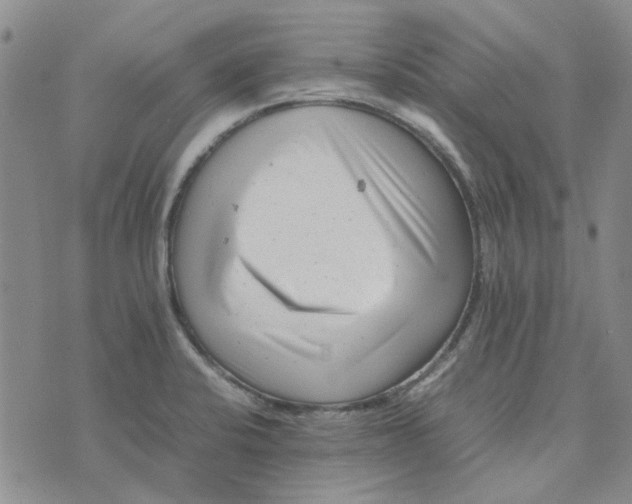 X0000075361424200609251050