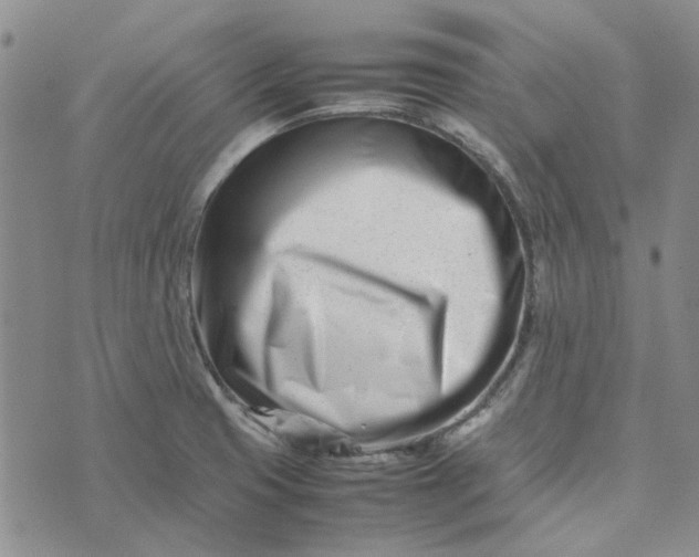 X0000075361425200609251050