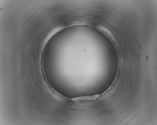 X0000075361427200609251051