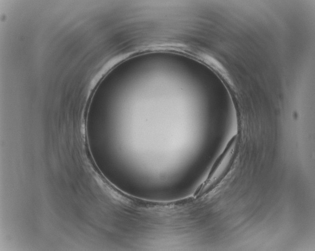 X0000075361428200609251051